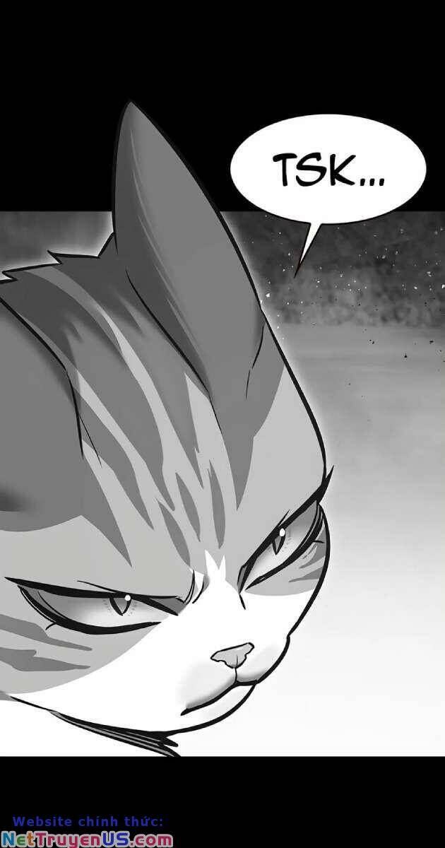 Hóa Thân Thành Mèo Chap 261 - Next Chap 262