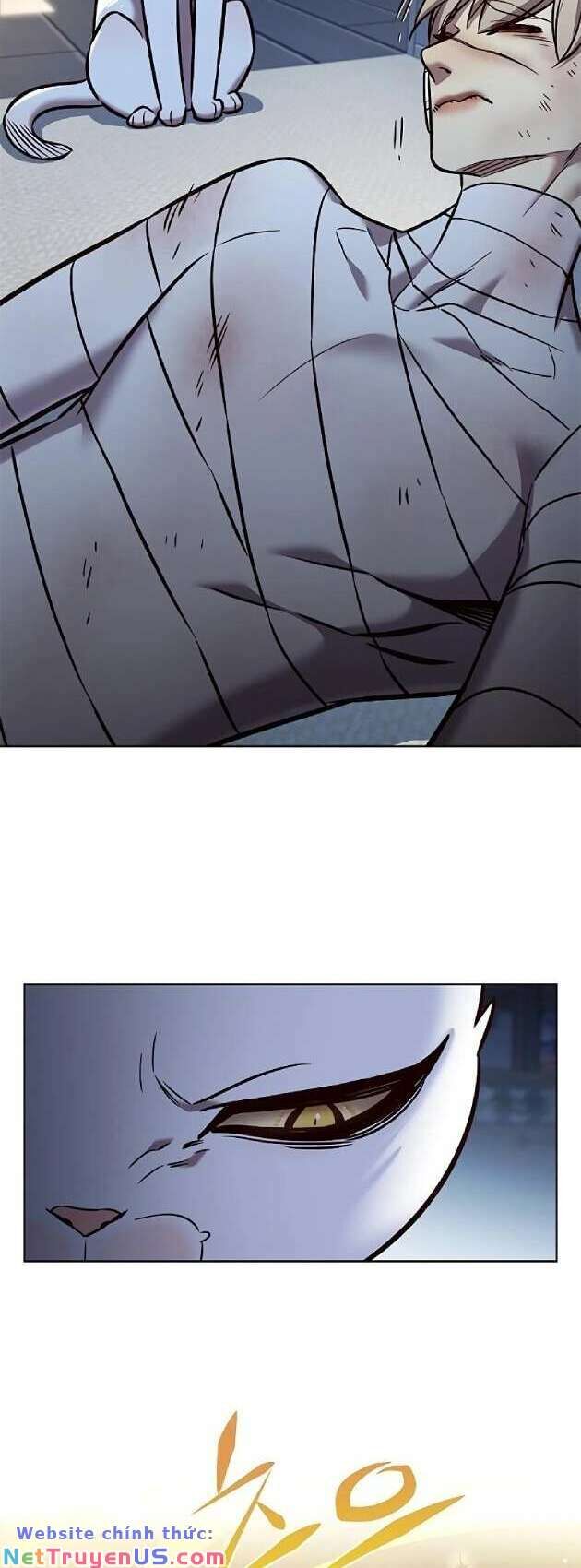 Hóa Thân Thành Mèo Chap 262 - Next Chap 263