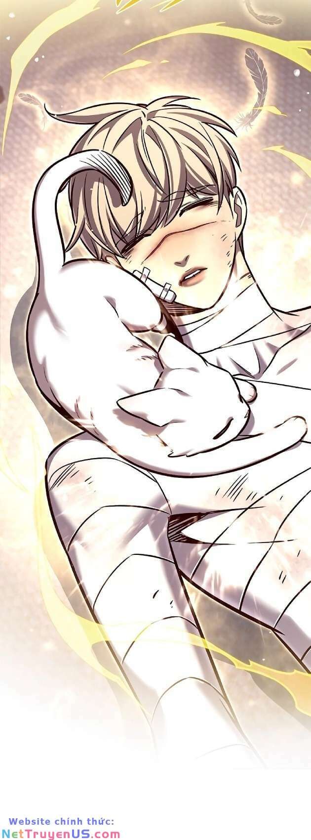 Hóa Thân Thành Mèo Chap 262 - Next Chap 263