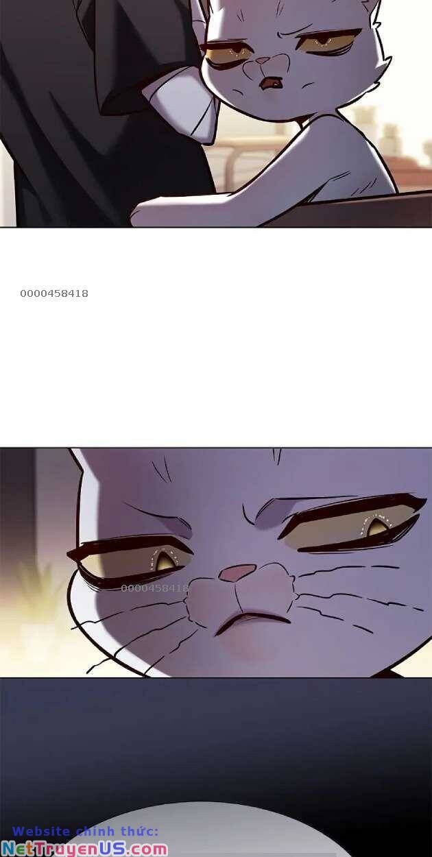 Hóa Thân Thành Mèo Chap 263 - Next Chap 264