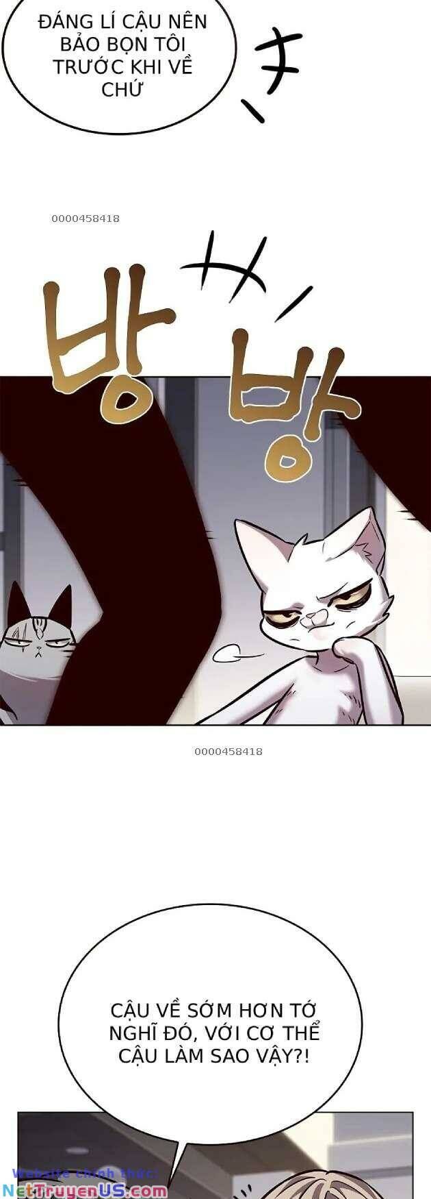 Hóa Thân Thành Mèo Chap 263 - Next Chap 264