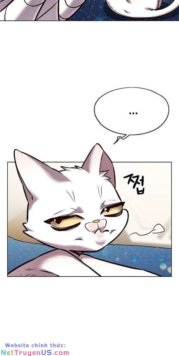 Hóa Thân Thành Mèo Chap 263 - Next Chap 264