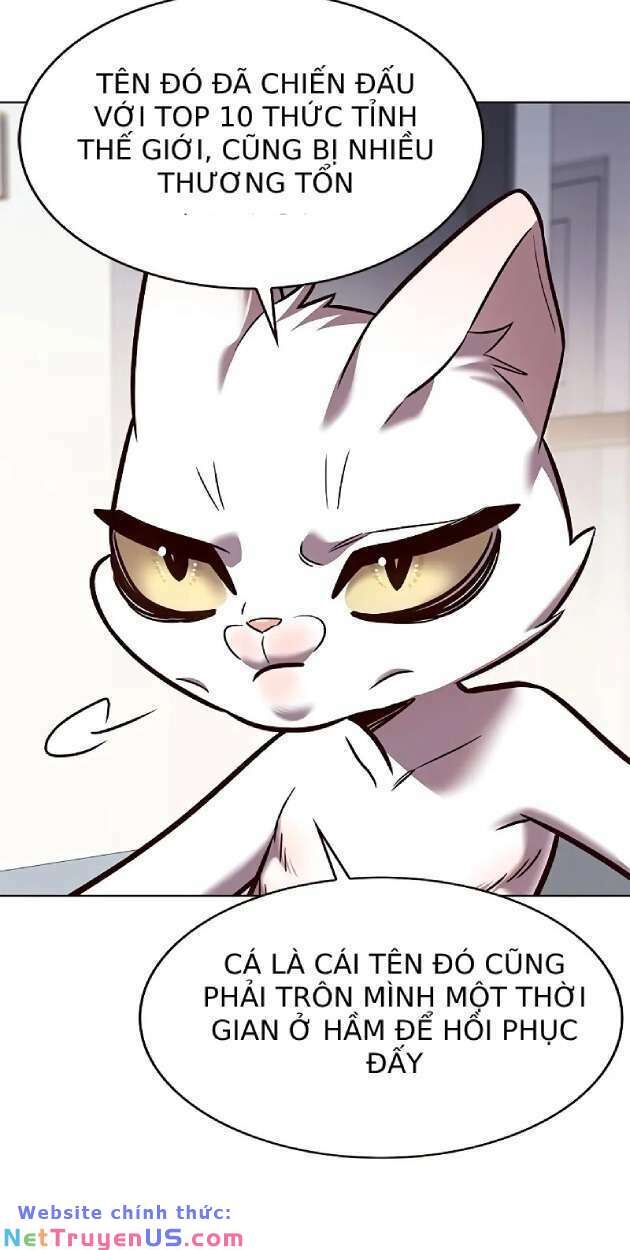 Hóa Thân Thành Mèo Chap 263 - Next Chap 264