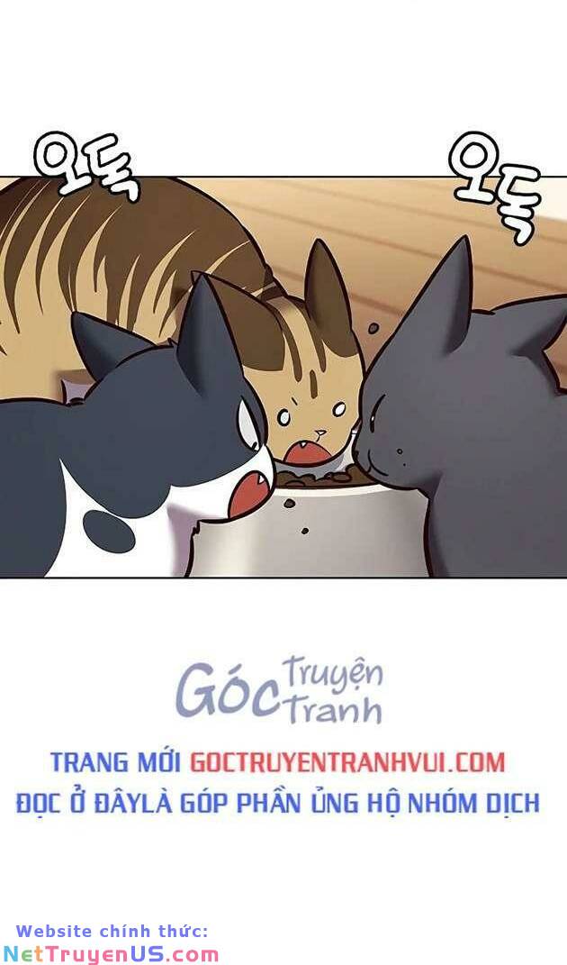Hóa Thân Thành Mèo Chap 269 - Next Chap 270