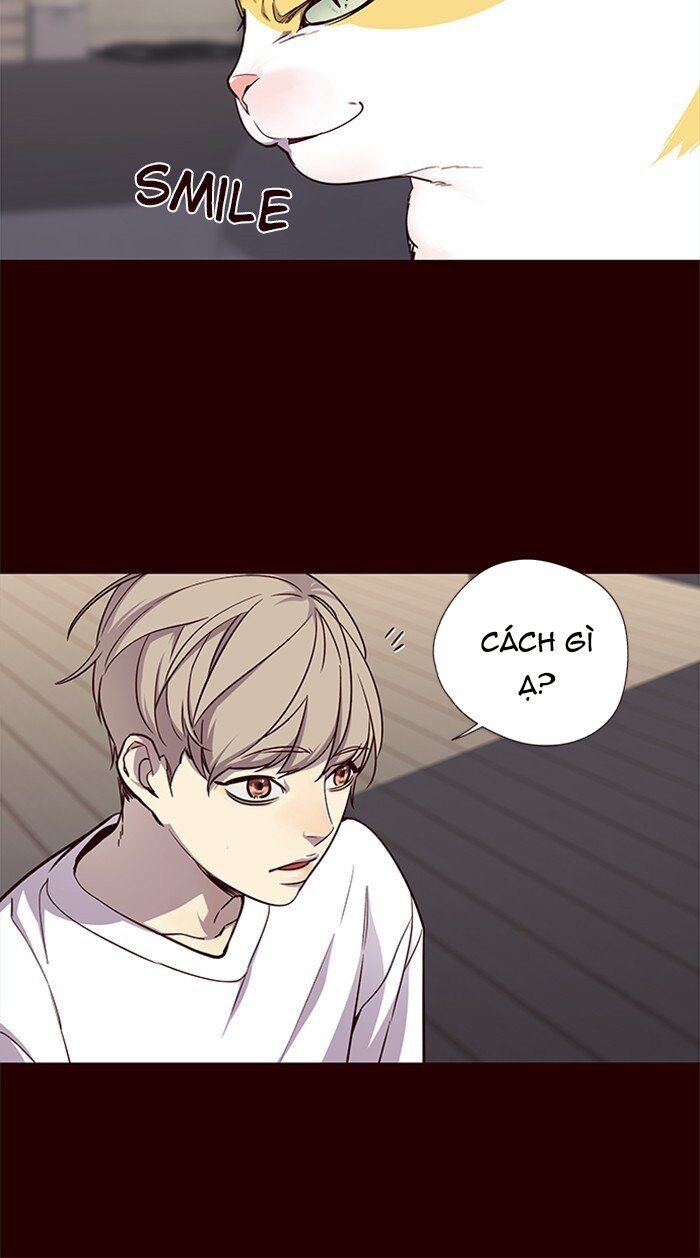 Hóa Thân Thành Mèo Chap 27 - Next Chap 28