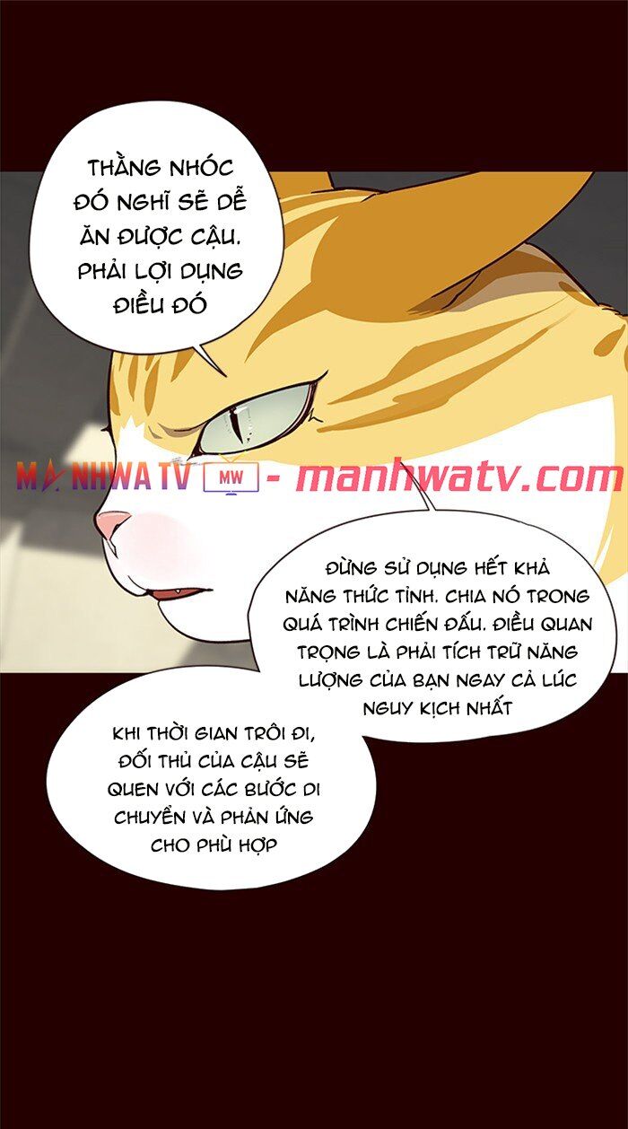 Hóa Thân Thành Mèo Chap 27 - Next Chap 28