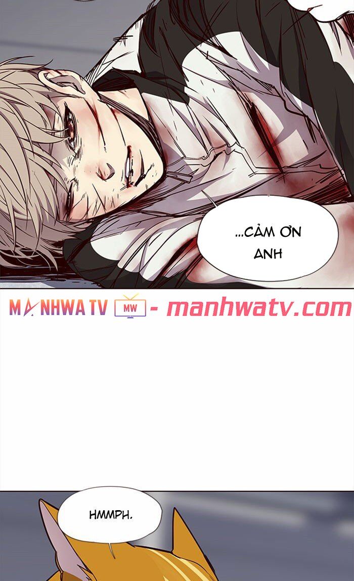 Hóa Thân Thành Mèo Chap 27 - Next Chap 28