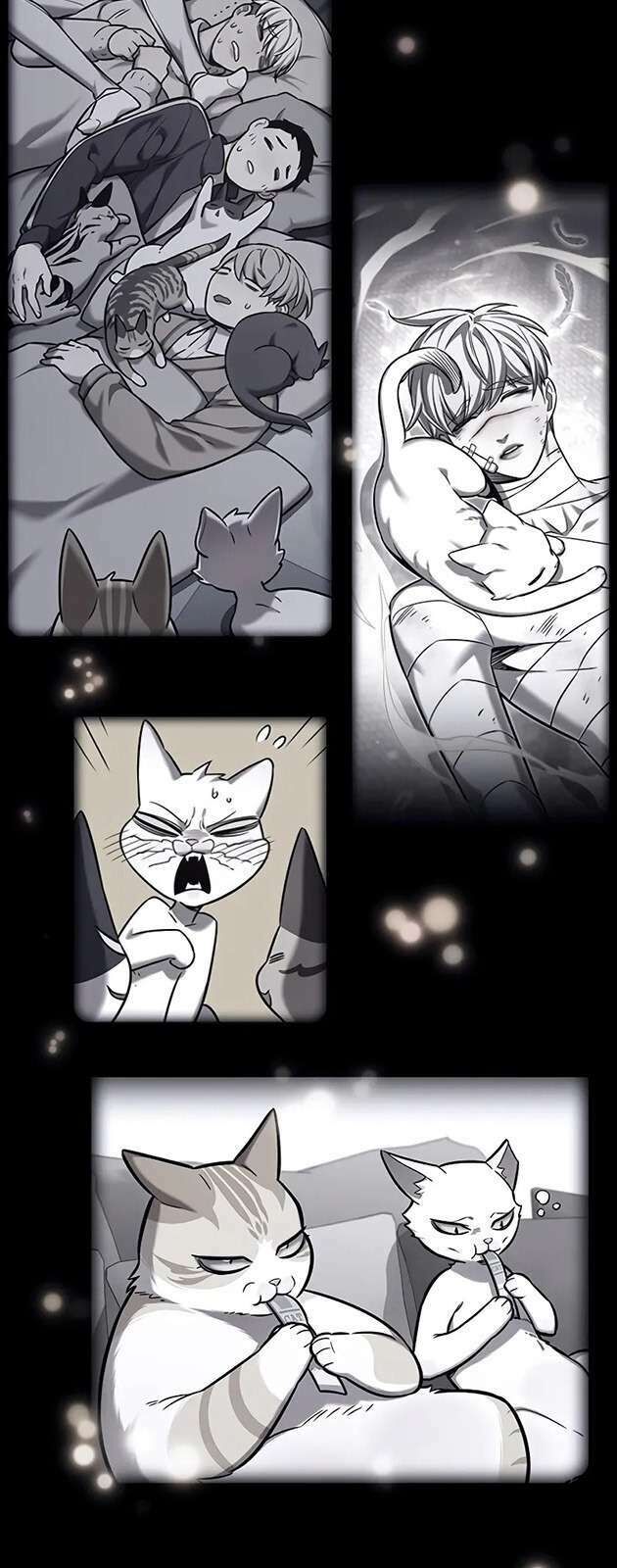 Hóa Thân Thành Mèo Chap 270 - Next Chap 271