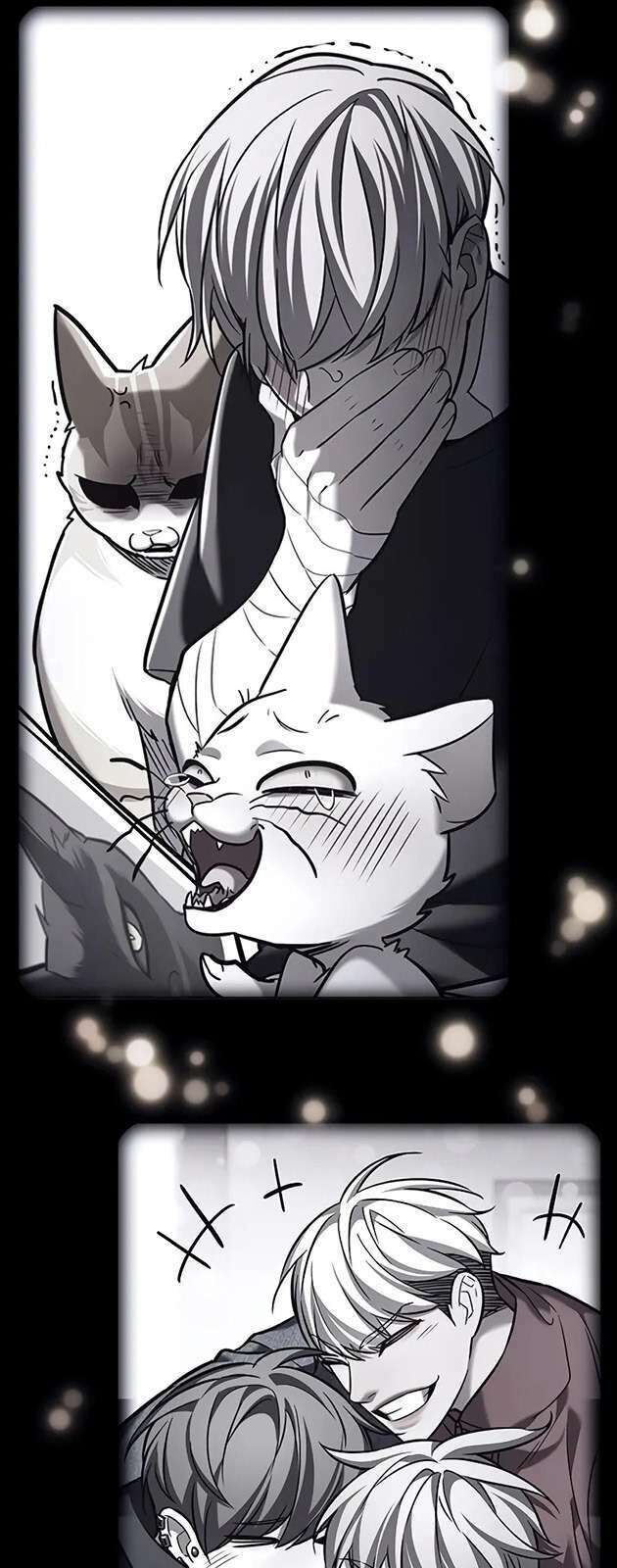 Hóa Thân Thành Mèo Chap 270 - Next Chap 271