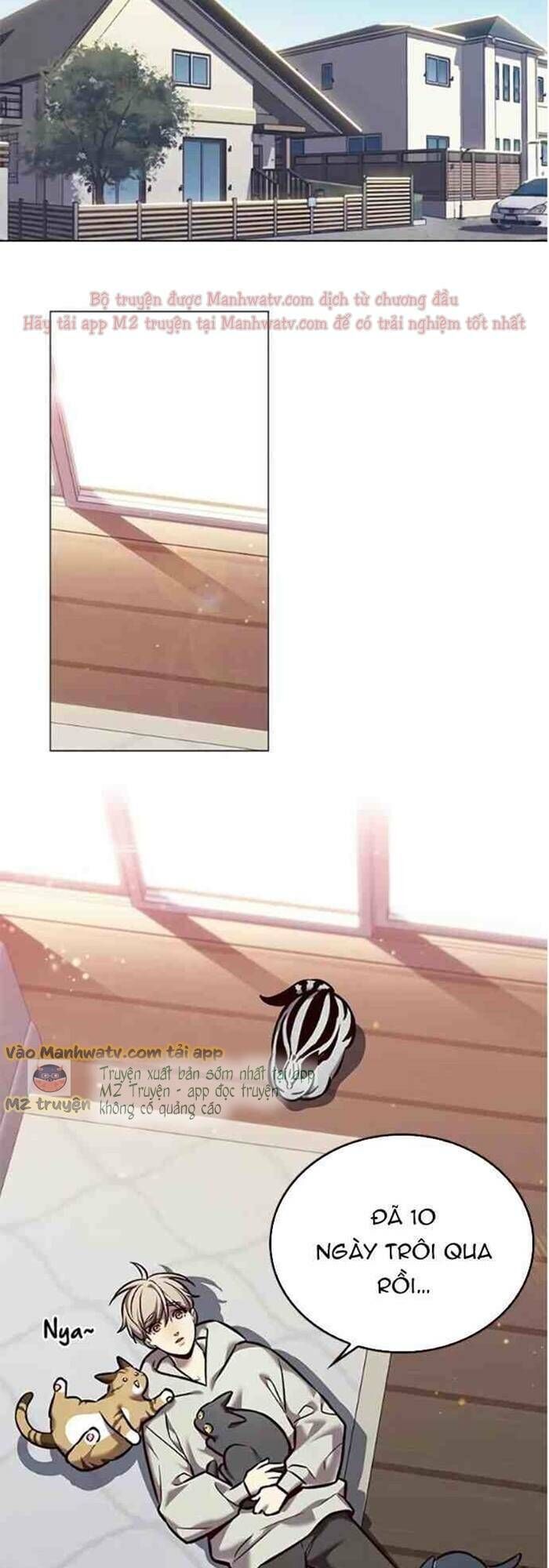 Hóa Thân Thành Mèo Chap 271 - Next Chap 272