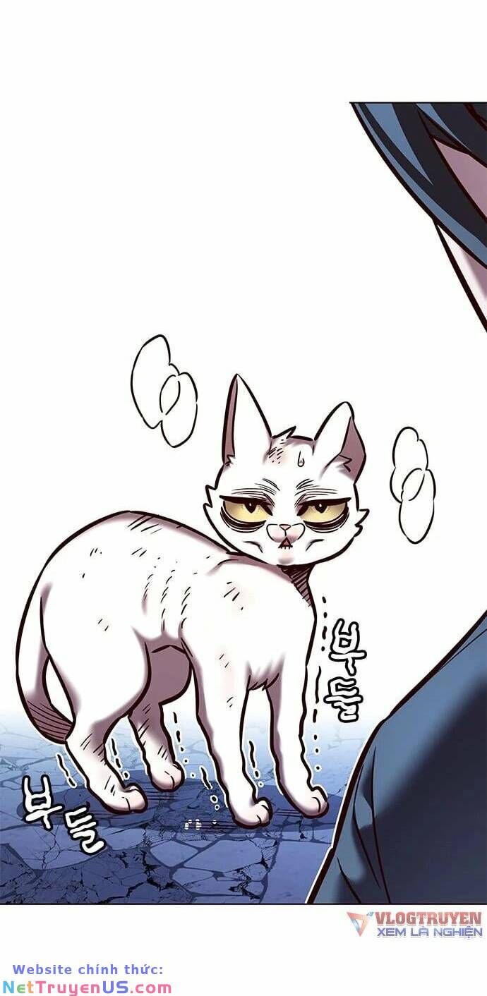 Hóa Thân Thành Mèo Chap 275 - Next Chap 276