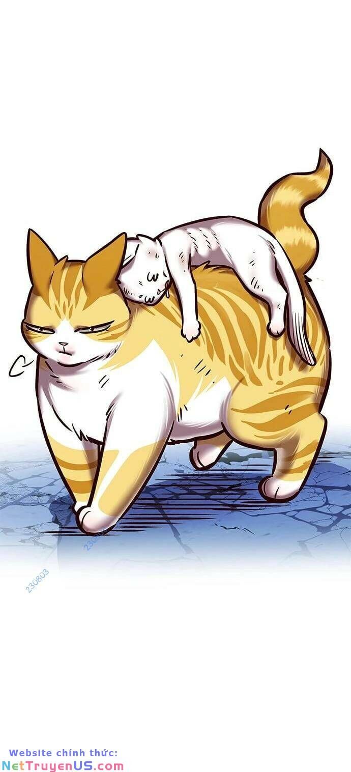Hóa Thân Thành Mèo Chap 275 - Next Chap 276