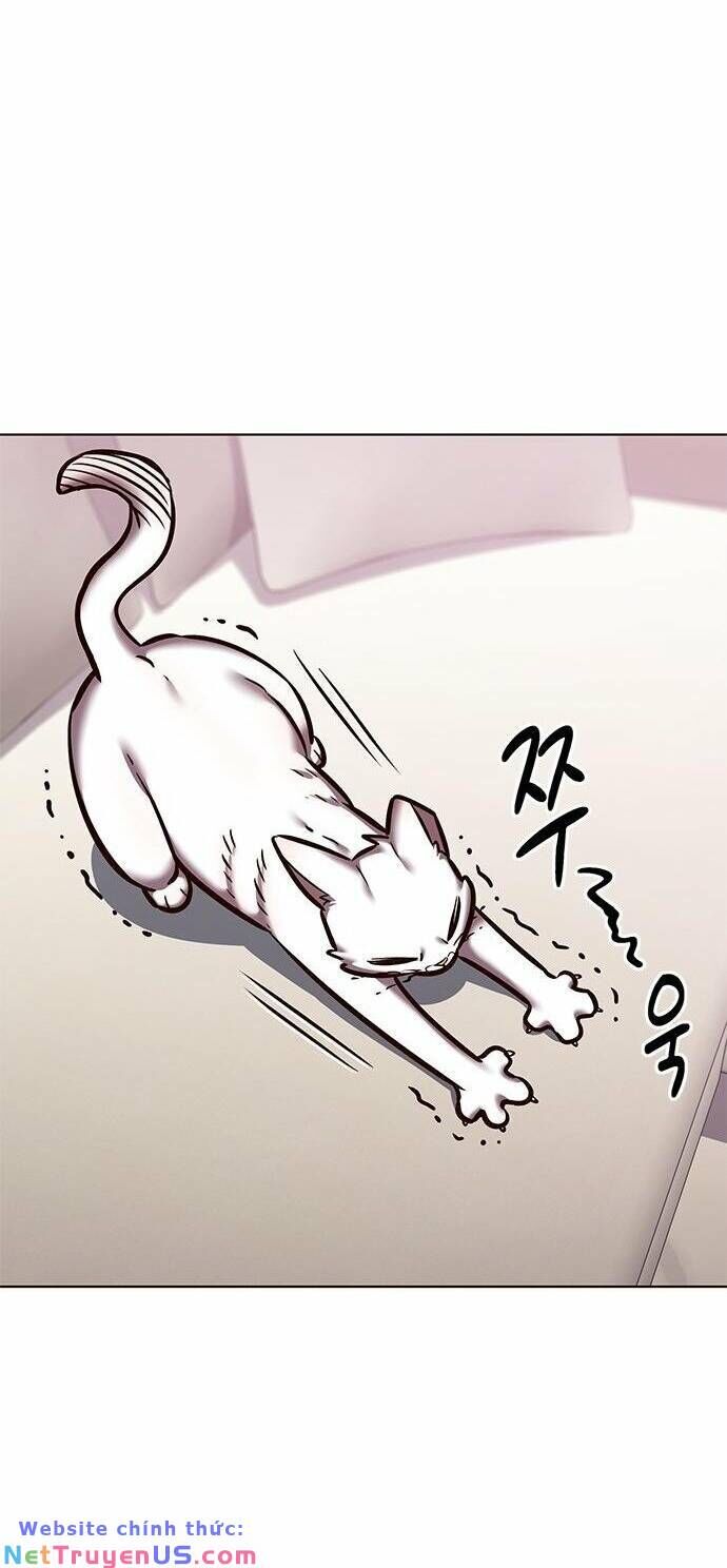 Hóa Thân Thành Mèo Chap 275 - Next Chap 276