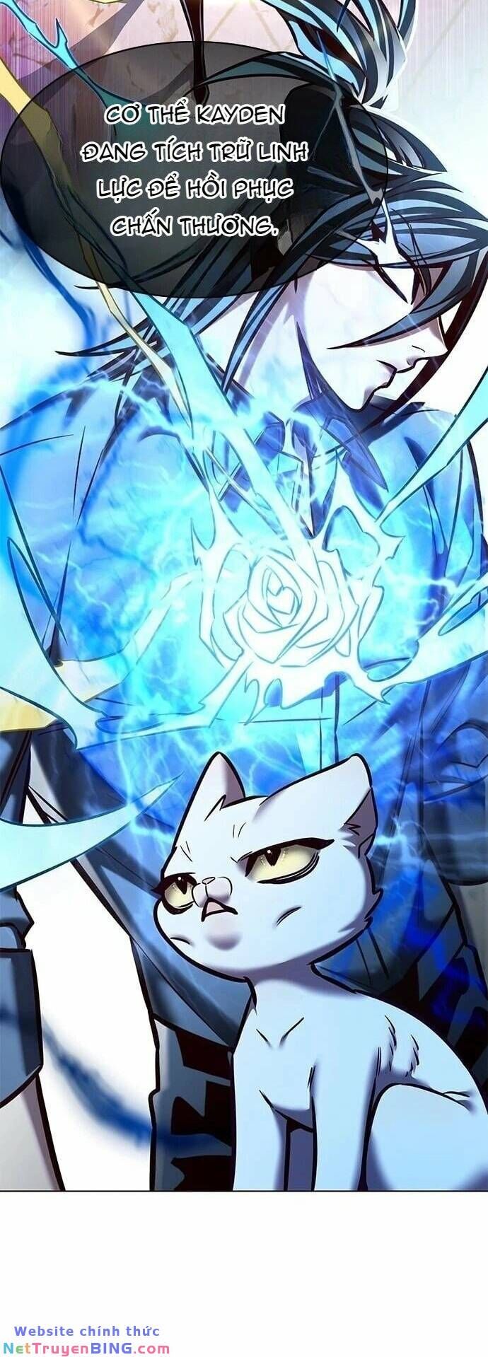 Hóa Thân Thành Mèo Chap 275 - Next Chap 276