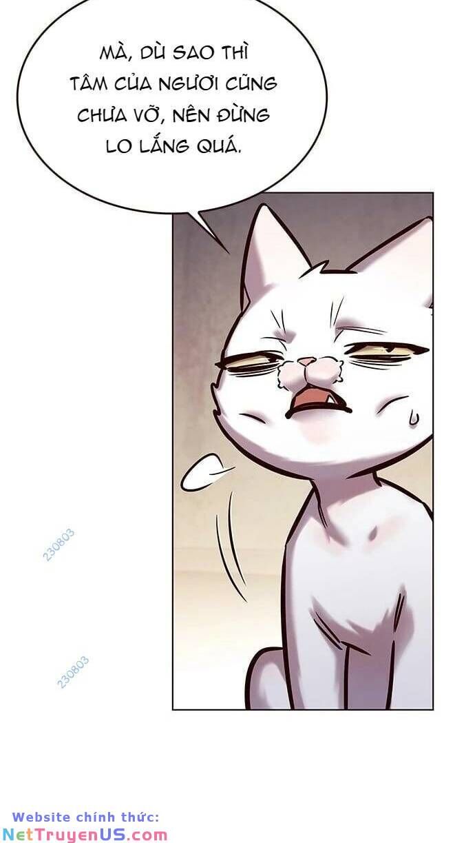 Hóa Thân Thành Mèo Chap 275 - Next Chap 276