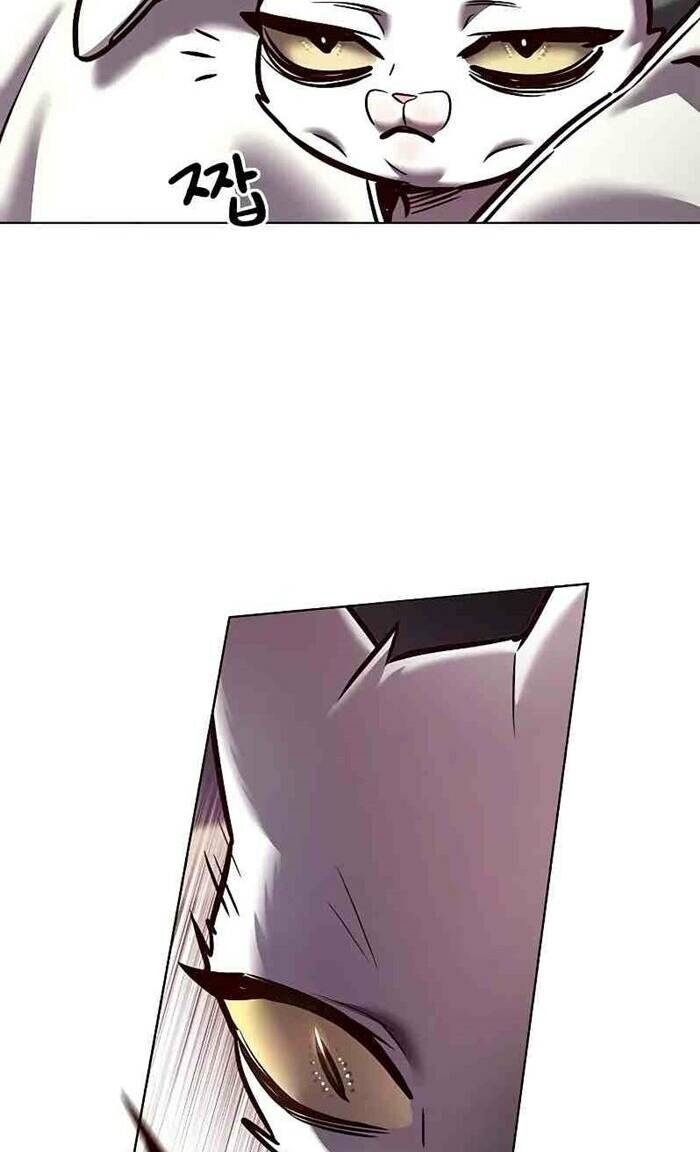 Hóa Thân Thành Mèo Chap 277 - Next Chap 278