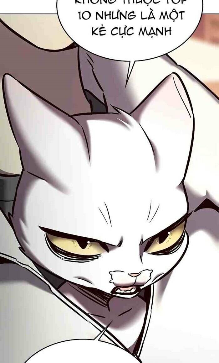 Hóa Thân Thành Mèo Chap 277 - Next Chap 278