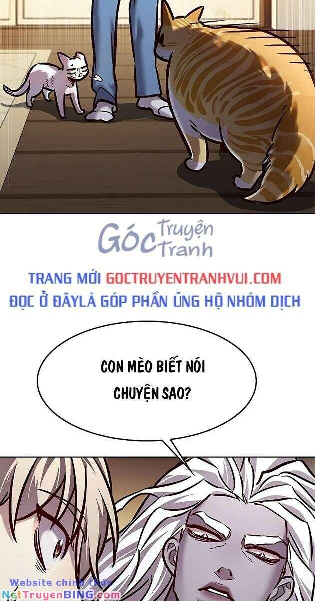 Hóa Thân Thành Mèo Chap 278 - Next Chap 279