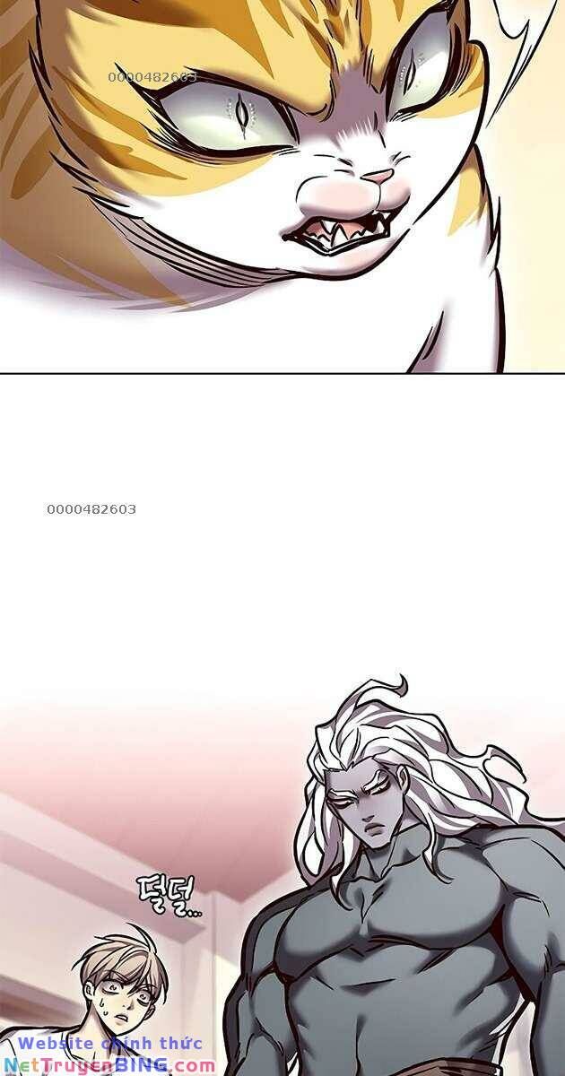 Hóa Thân Thành Mèo Chap 278 - Next Chap 279