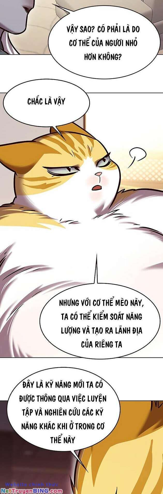 Hóa Thân Thành Mèo Chap 278 - Next Chap 279