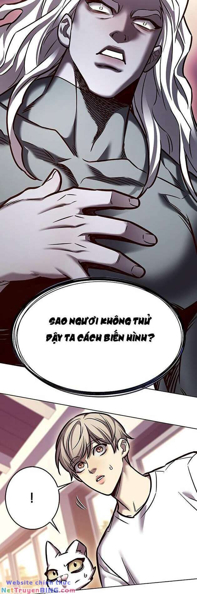 Hóa Thân Thành Mèo Chap 278 - Next Chap 279