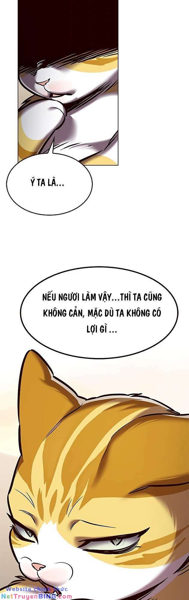 Hóa Thân Thành Mèo Chap 278 - Next Chap 279