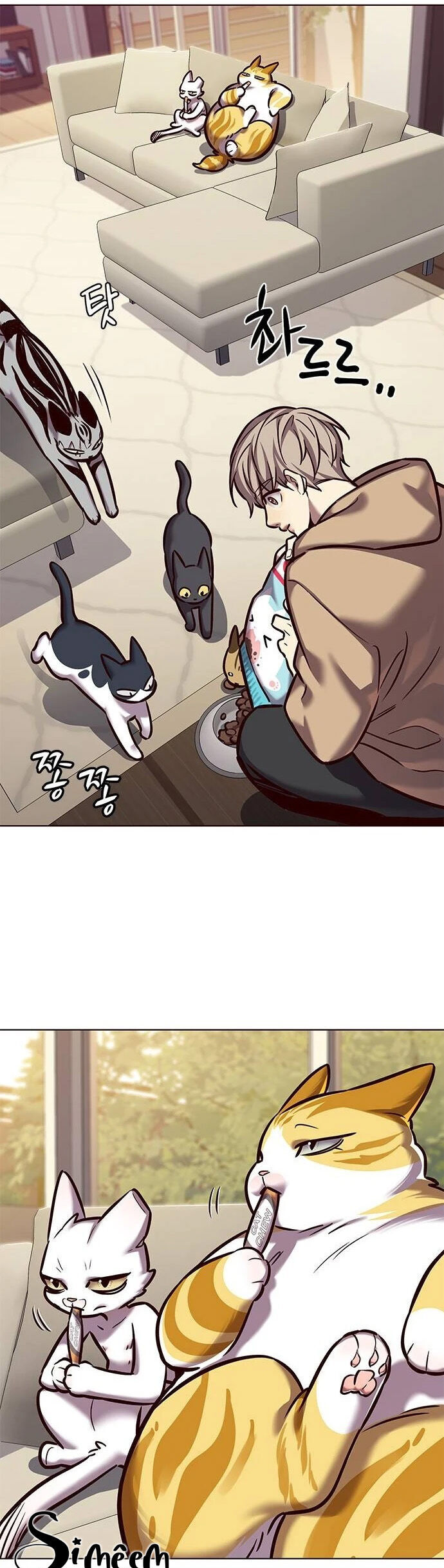 Hóa Thân Thành Mèo Chap 279 - Next Chap 280