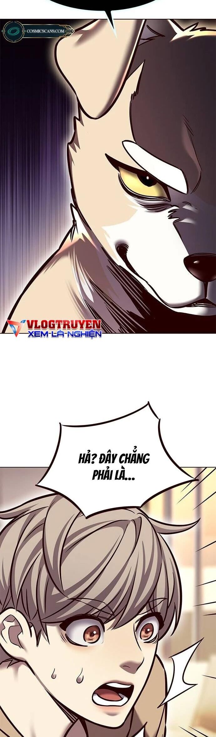 Hóa Thân Thành Mèo Chap 279 - Next Chap 280