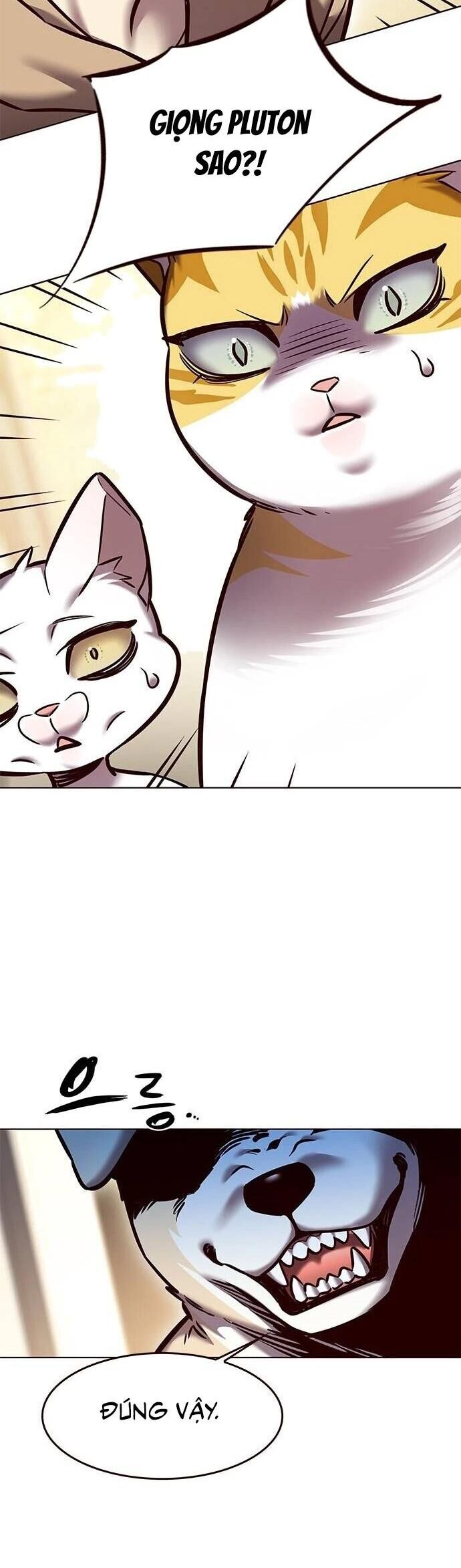 Hóa Thân Thành Mèo Chap 279 - Next Chap 280