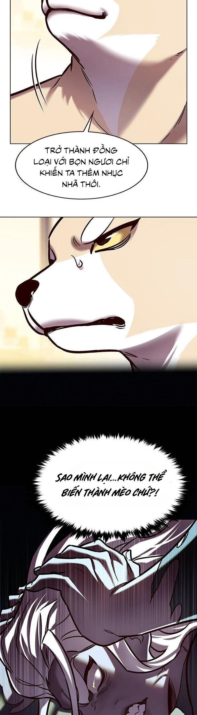 Hóa Thân Thành Mèo Chap 279 - Next Chap 280
