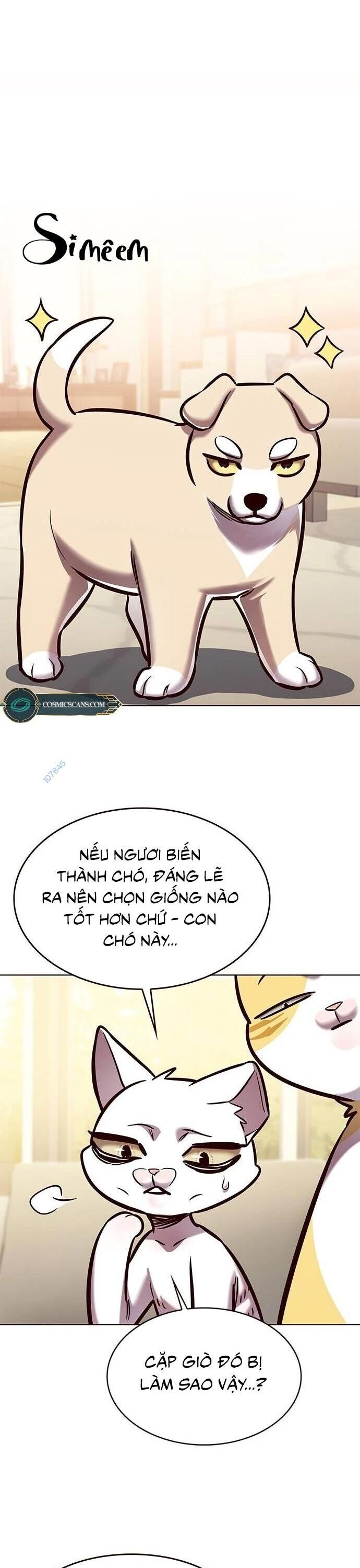 Hóa Thân Thành Mèo Chap 279 - Next Chap 280