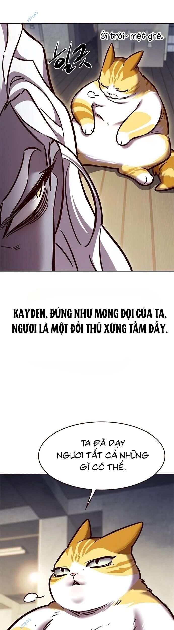 Hóa Thân Thành Mèo Chap 279 - Next Chap 280