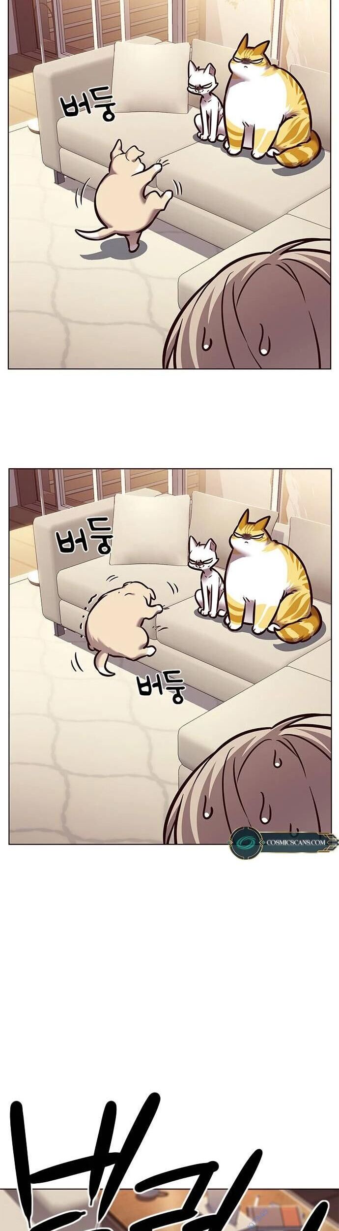 Hóa Thân Thành Mèo Chap 279 - Next Chap 280