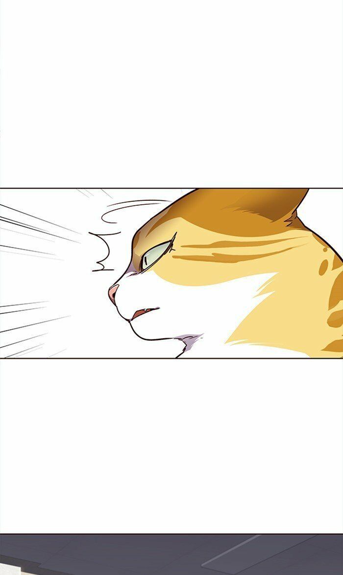 Hóa Thân Thành Mèo Chap 28 - Next Chap 29