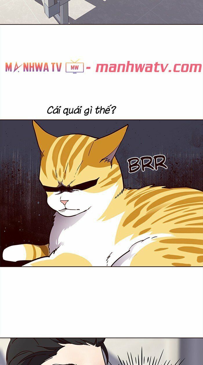 Hóa Thân Thành Mèo Chap 28 - Next Chap 29