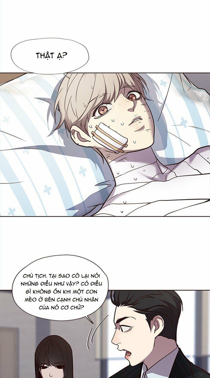 Hóa Thân Thành Mèo Chap 28 - Next Chap 29