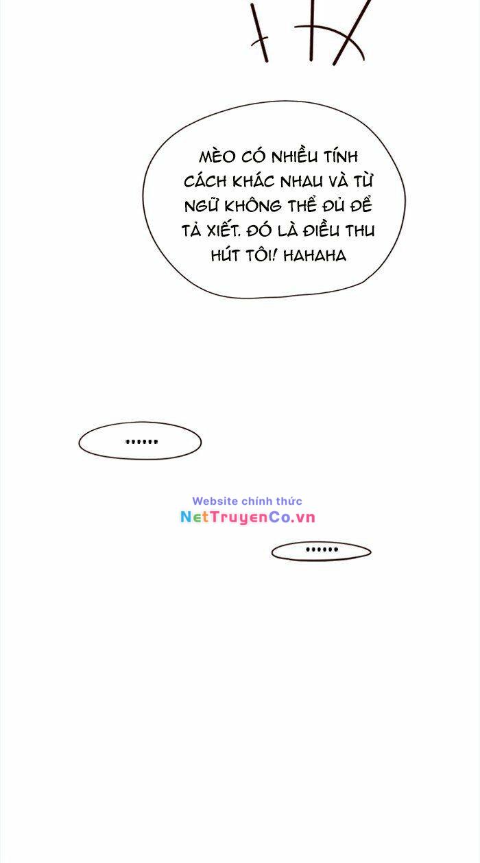 Hóa Thân Thành Mèo Chap 28 - Next Chap 29