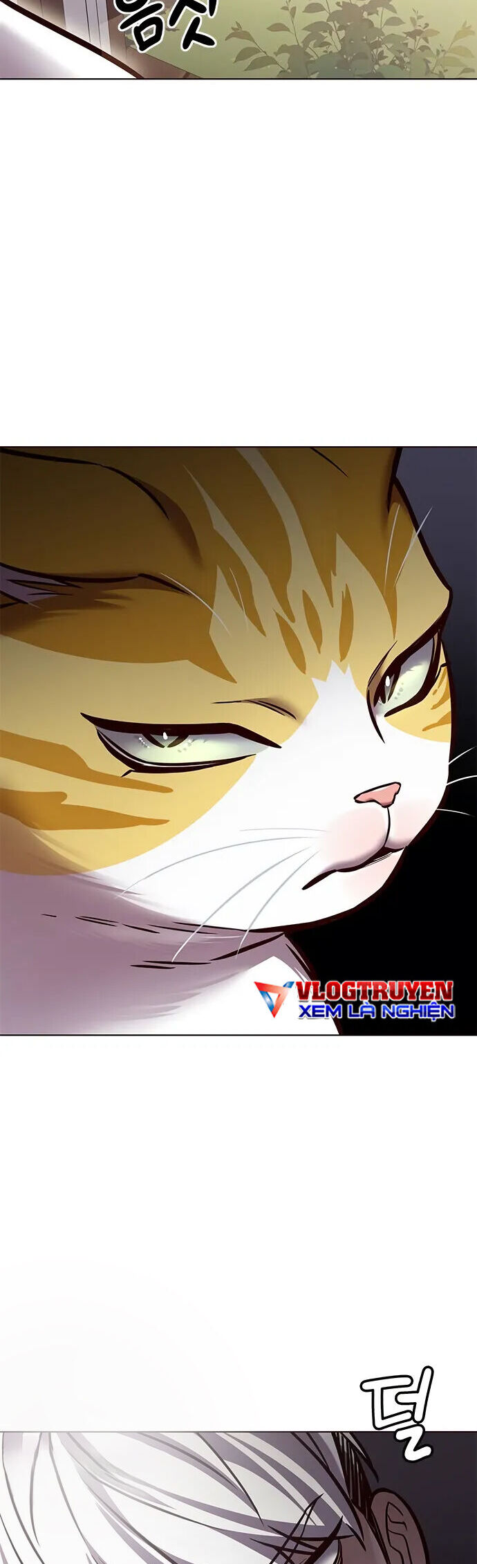 Hóa Thân Thành Mèo Chap 280 - Next Chap 281