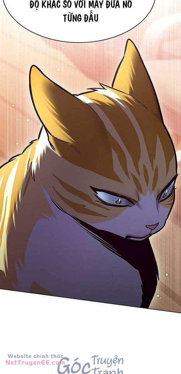 Hóa Thân Thành Mèo Chap 282 - Next Chap 283