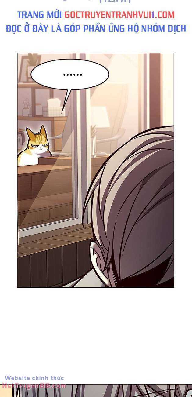 Hóa Thân Thành Mèo Chap 282 - Next Chap 283