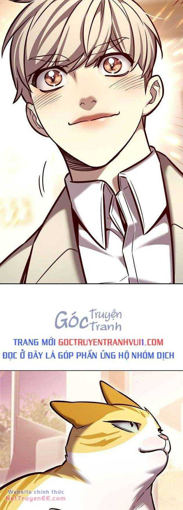 Hóa Thân Thành Mèo Chap 282 - Next Chap 283