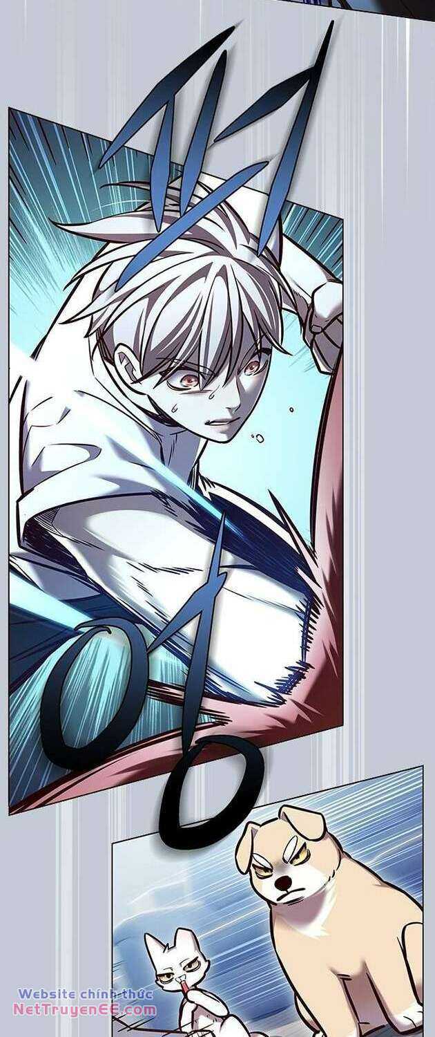 Hóa Thân Thành Mèo Chap 283 - Next Chap 284