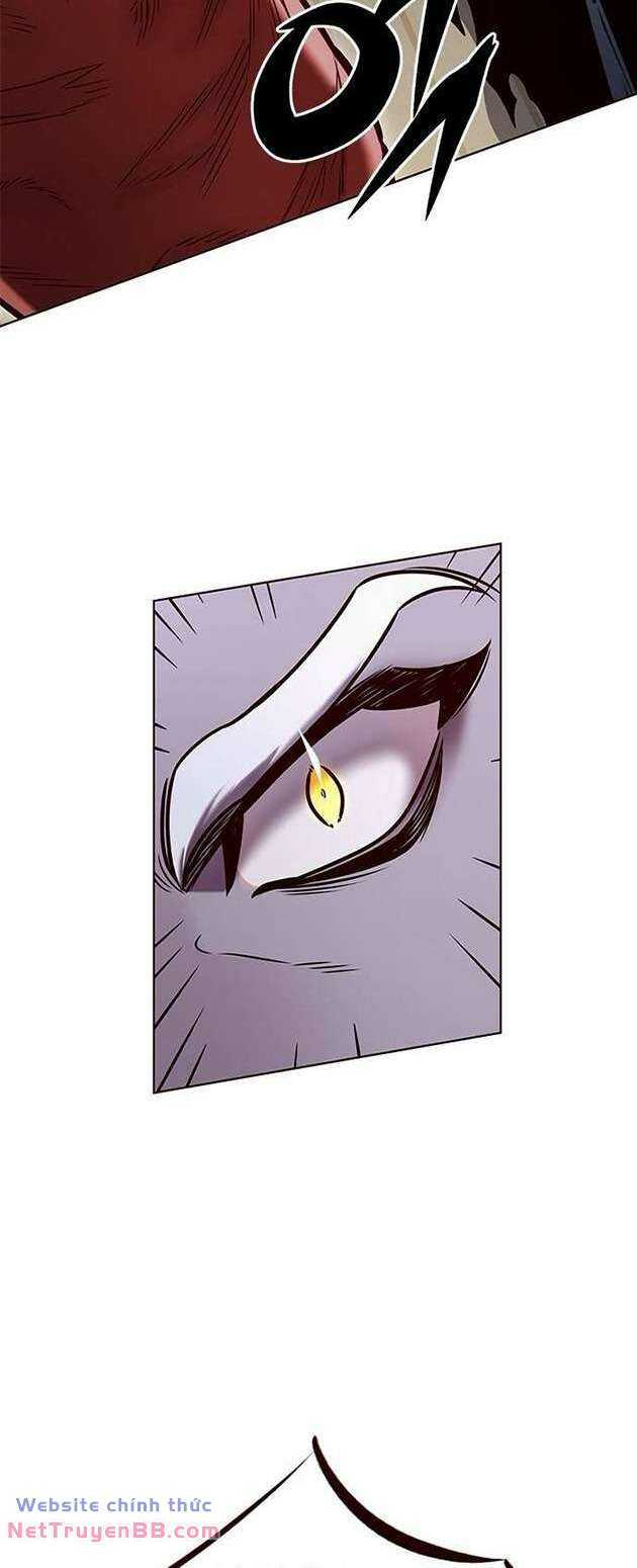 Hóa Thân Thành Mèo Chap 283 - Next Chap 284