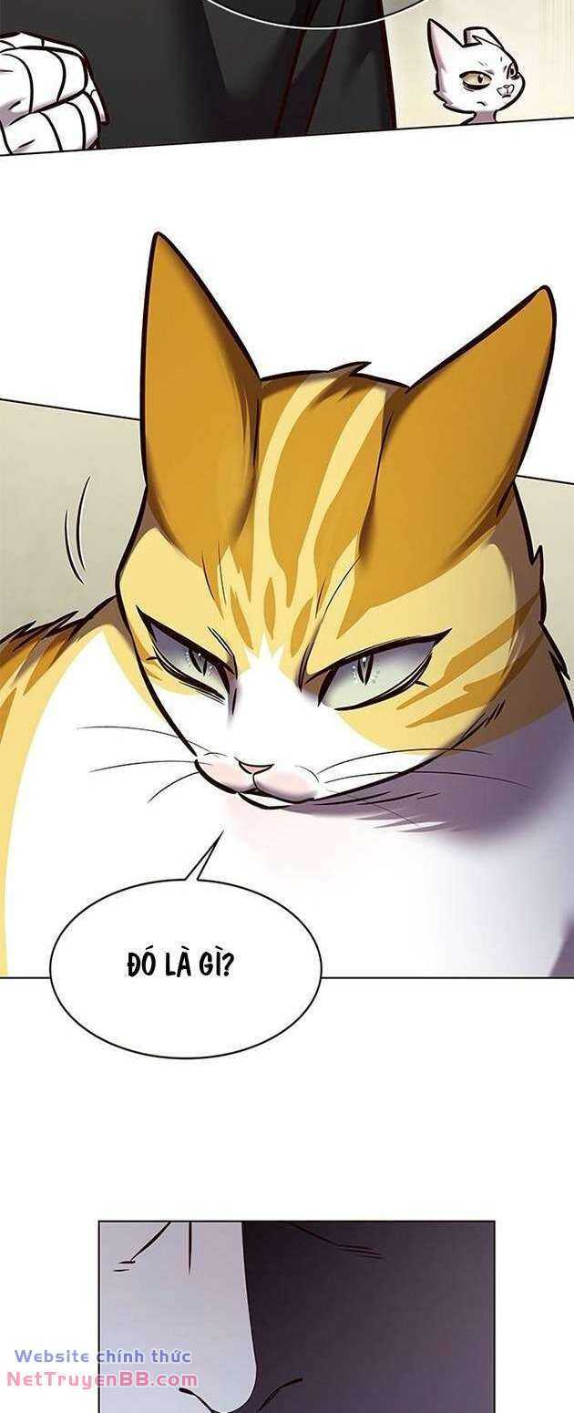 Hóa Thân Thành Mèo Chap 283 - Next Chap 284