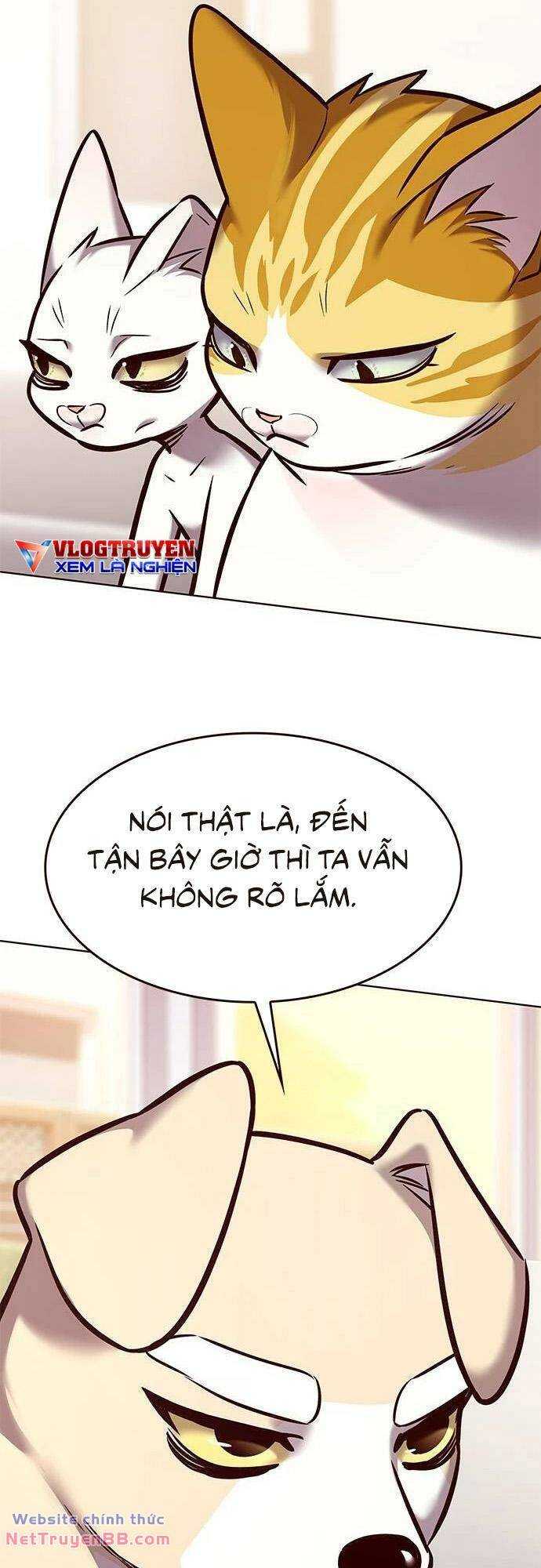 Hóa Thân Thành Mèo Chap 285 - Next Chap 286
