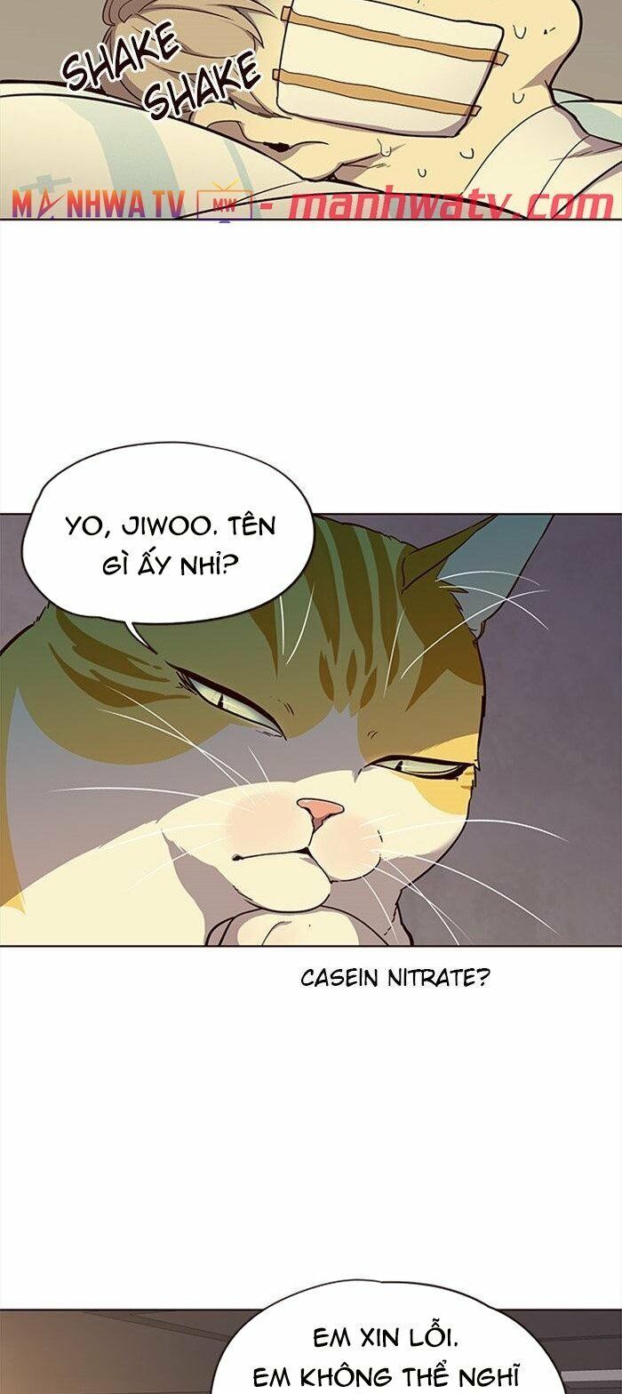 Hóa Thân Thành Mèo Chap 29 - Next Chap 30