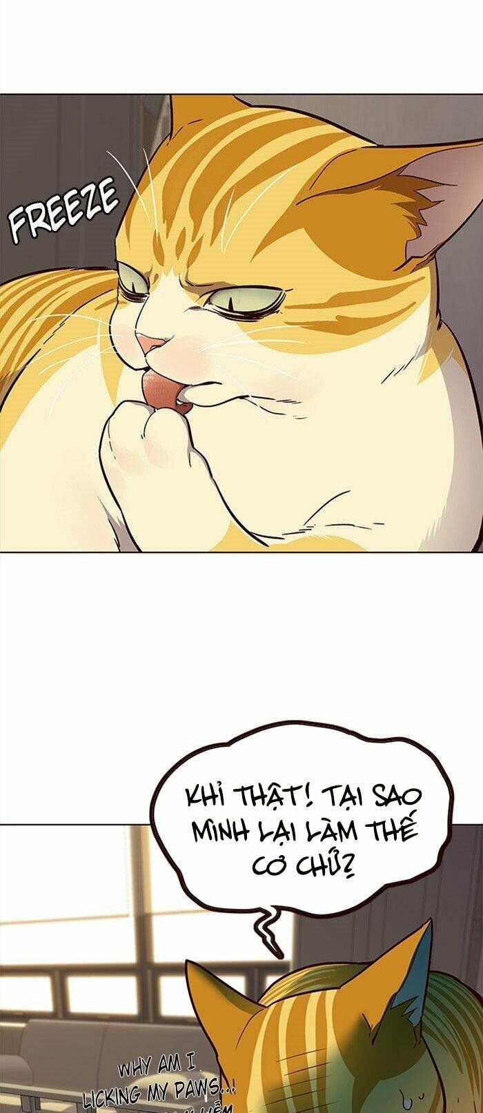 Hóa Thân Thành Mèo Chap 29 - Next Chap 30