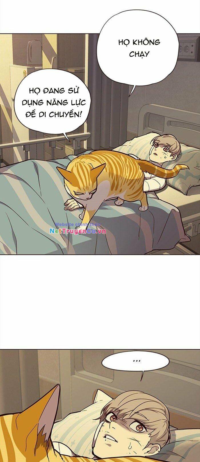 Hóa Thân Thành Mèo Chap 29 - Next Chap 30