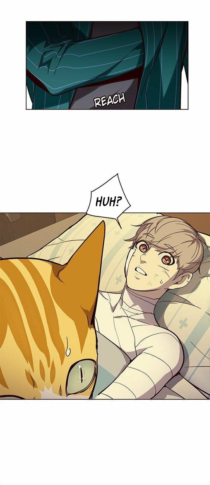 Hóa Thân Thành Mèo Chap 29 - Next Chap 30