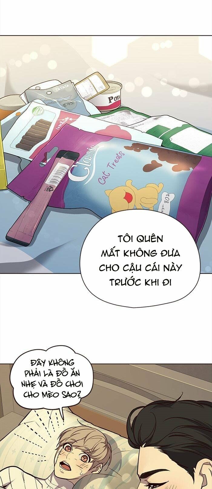 Hóa Thân Thành Mèo Chap 29 - Next Chap 30